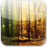 Months and Seasons